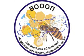 Онлайн-встреча «15 вопросов специалисту»