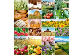 Конкурс на соискание премии за развитие российской органической продукции