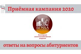 Онлайн-встреча с ректором Вологодской ГМХА