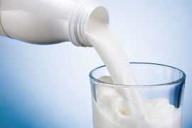 Конкурс научно-исследовательских работ в сфере молочной отрасли