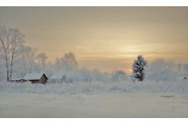 Фотовыставка «Любимые сюжеты»