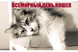 Выставка 