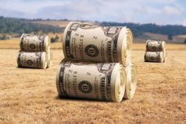 Программы профессиональной переподготовки «Экономика и управление  в отраслях АПК», «Бухгалтерский учет и аудит», «Финансы и кредит»