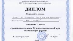 Диплом за II место в региональном этапе интеллектуальной игры 