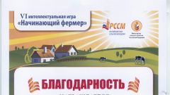 Благодарность участнику регионального этапа интеллектуальной игры 