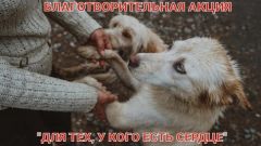 Участие наших волонтёров в акции «Для тех, у кого есть сердце»