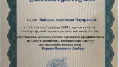 Сертификат участника А. Вайцель