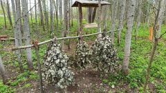 Подкормочная площадка
