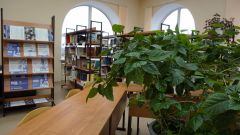 Отдел информационно-образовательных ресурсов