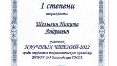 Диплом I степени Шелыгин Н.А.