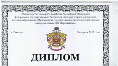 Диплом за участие во II этапе Всероссийского конкурса по СЗФО среди студентов в номинации Менеджмент - 2017