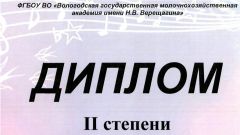 Диплом II степени фестиваля студенческого творчества Студенческая весна - 2016
