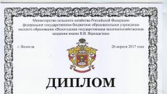 Диплом за участие во II этапе Всероссийского конкурса по СЗФО среди студентов в номинации Менеджмент - 2017