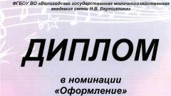Диплом фестиваля студенческого творчества Студенческая весна - 2016 в номинации Оформление