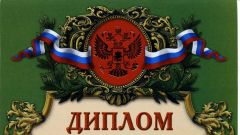 Диплом III степени отряду Дружба в номинации Благоустройство и озеленение территории - 2017