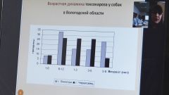 Слайд из презентации Т.В. Новиковой