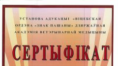 Сертификат участника студенческой конференции - Беларусь, 2014