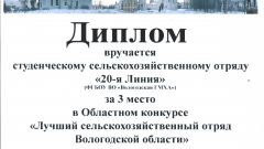 Диплом за 3 место в Областном конкурсе 