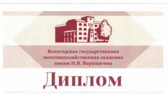 Диплом победителя в номинации 