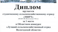 Диплом за 3 место в Областном конкурсе 