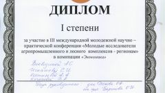 Диплом I степени за участие в III международной молодежной научно-практической конференции 