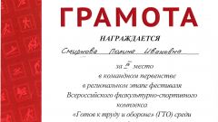Грамота за 3 место в командном первенстве в региональном этапе фестиваля Всероссийского физкультурно-спортивного комплекса 