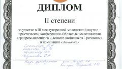 Диплом II степени за участие в III международной молодежной научно-практической конференции 