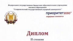 Диплом II степени VIII Всероссийского конкурса научных работ на лучшее авторское исследование в области финансового рынка
