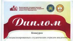 Диплом конкурса студенческих отрядов в номинации Финансовые отряды