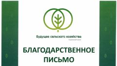 Благодарственное письмо за участие в финале кейс-чемпионата Будущее сельского хозяйства