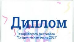 Диплом творческого фестиваля 