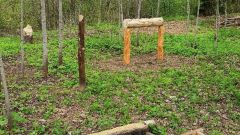 Биотехнические сооружения