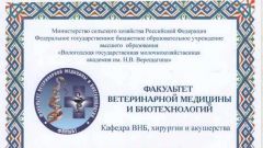Диплом за 2 место по итогам кафедральной научно-практической конференции студентов и аспирантов - 2017