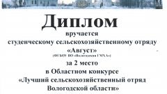 Диплом за 2 место в Областном конкурсе 