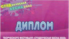 Диплом творческого фестиваля 