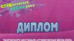 Диплом творческого фестиваля 