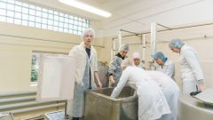Технологический факультет