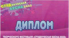 Диплом творческого фестиваля 