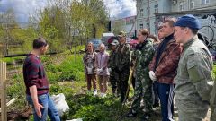 Посадки в парках и на улицах Вологды