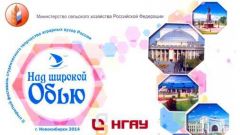 Диплом студенческой газете ПроСТО - 2014