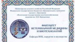 Диплом за 1 место по итогам кафедральной научно-практической конференции студентов и аспирантов - 2017