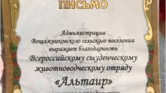 Благодарственное письмо от Администрации Вощажниковского сельского поселения