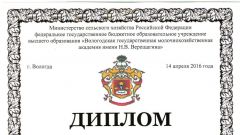 Диплом I степени за лучшую научную работу среди студентов в номинации Менеджмент