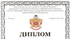 Диплом за участие во II этапе Всероссийского конкурса по СЗФО среди студентов в номинации Экономика