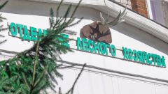 Отделение лесного хозяйства