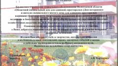 Благодарность от Дома ветеранов - 2014