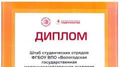 Диплом штабу студенческих отрядов - 2014