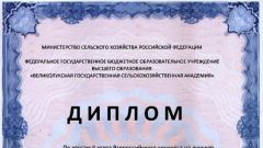 Диплом за I место по итогам II этапа Всероссийского конкурса за лучшую научную работу среди студентов в номинации Сельскохозяйственные науки - 2017