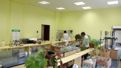 Технологический факультет