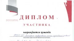 Диплом за участие  в финале регионального этапа V интеллектуальной игры Начинающий фермер  - 2017